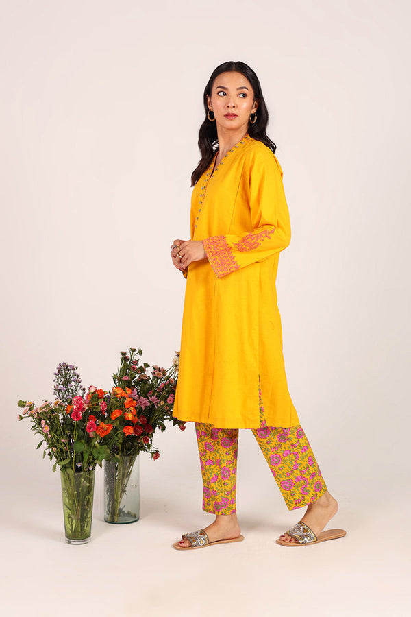 Kachnaar Rangsaaz Duo