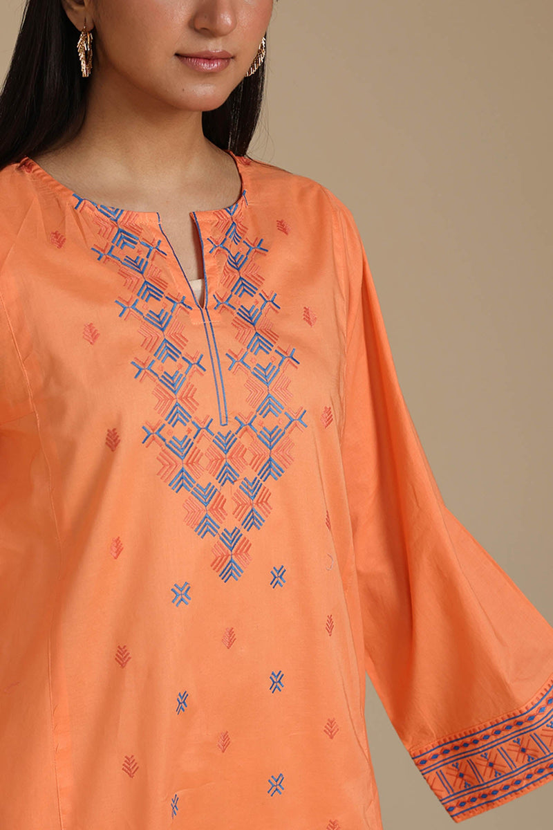 Embroidered Tale Kurti