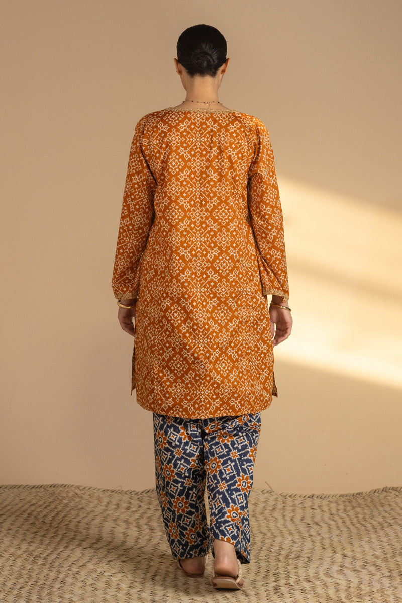 Printed Patola Tales Set