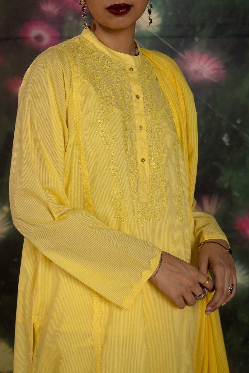 Embroidered Chalk Mehr Ensemble