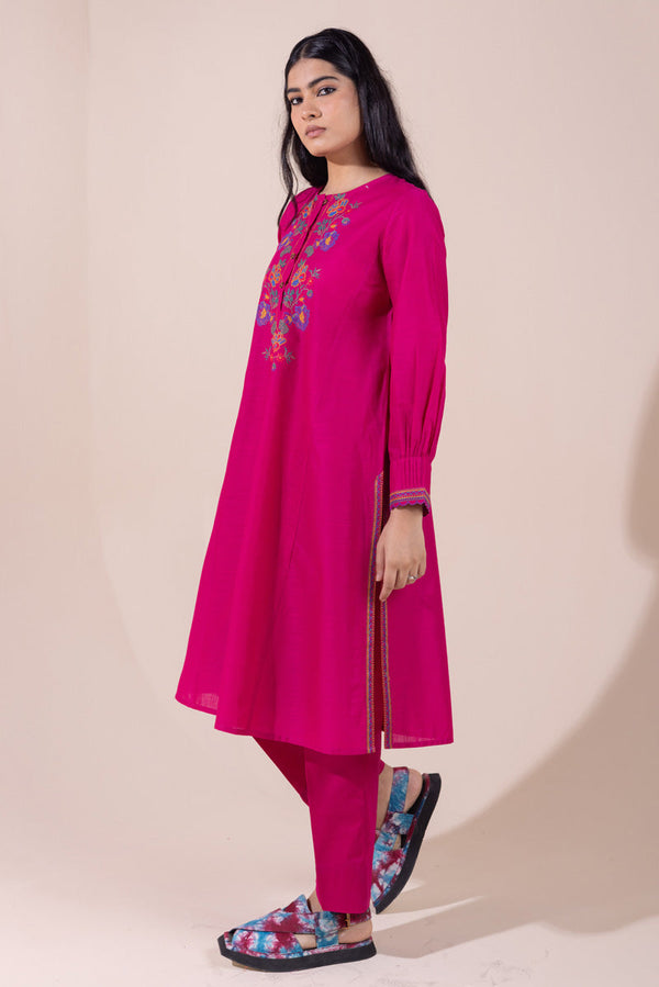 Pyari Paras Embroidered Set