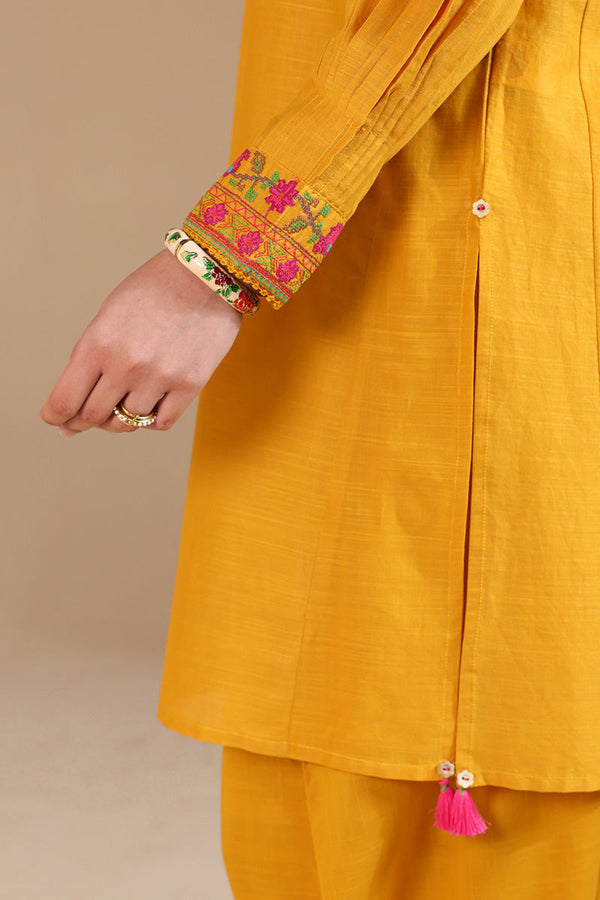 Pyari Paras Cross-Stitch Set