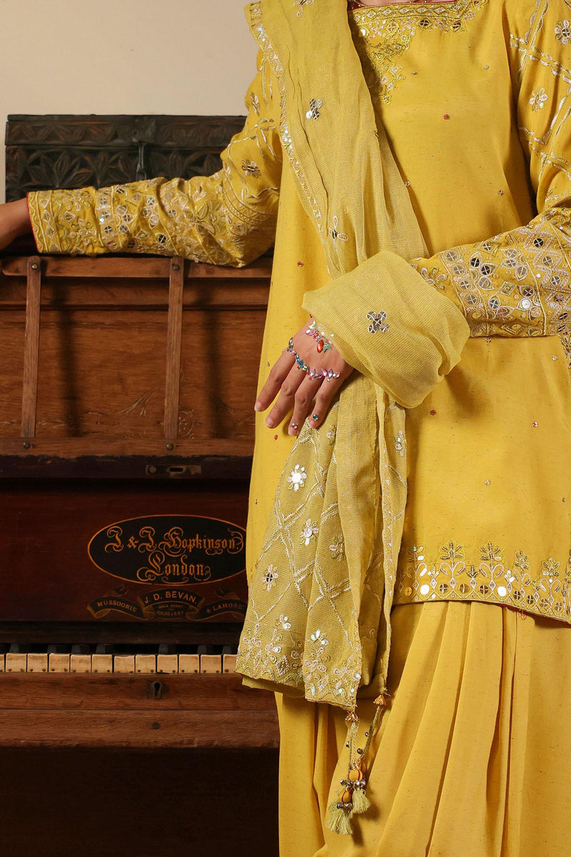 Embroidered Sequin Ensemble