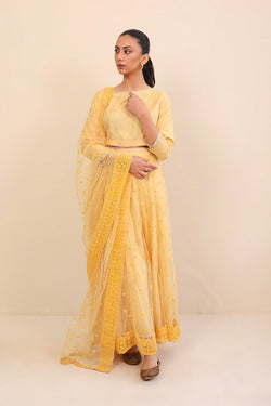 Pan Banaras Lehnga Set