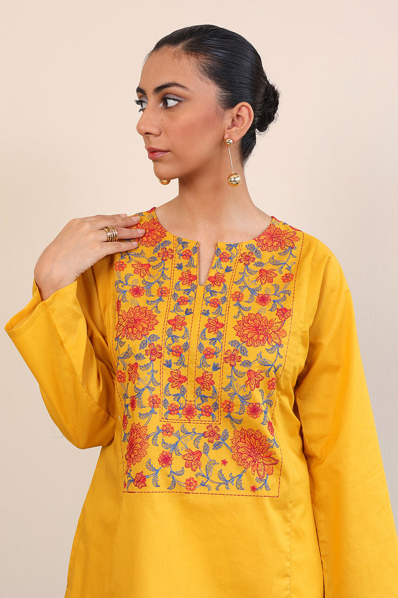 Gul Meena Kurti