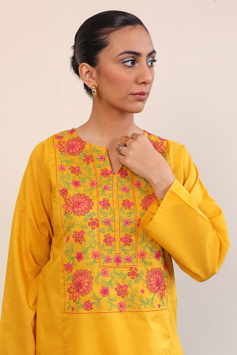 Gul Meena Phool Kurti