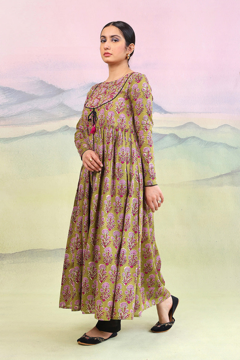 Pankhi Shahkar Dress