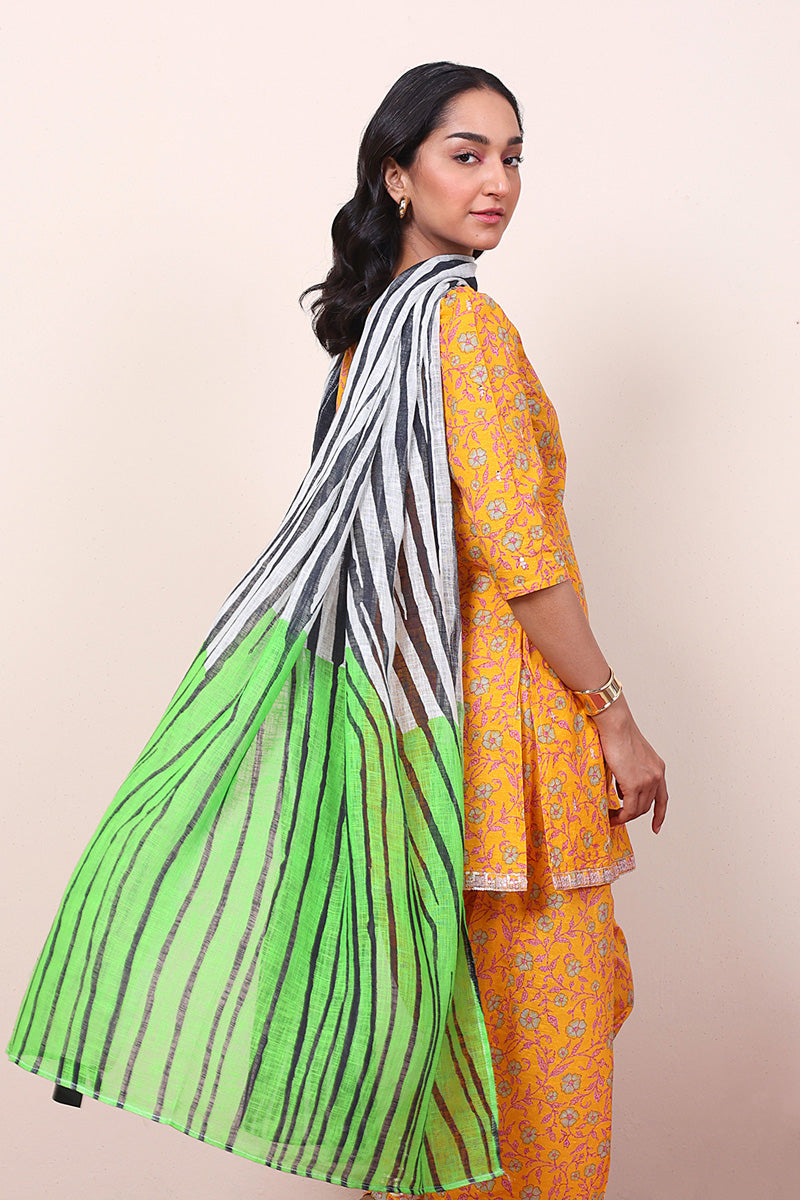 Pattern Parade Dupatta – Generation International