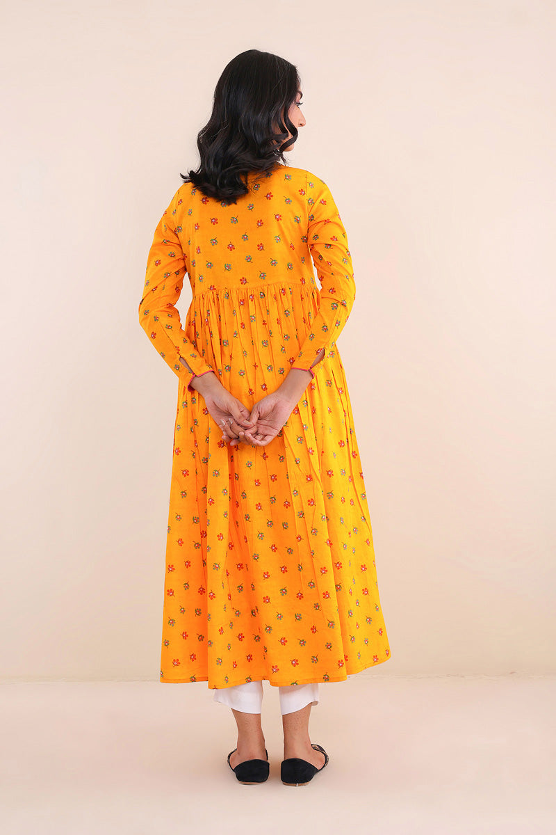 Paithani Print Blocked Dress