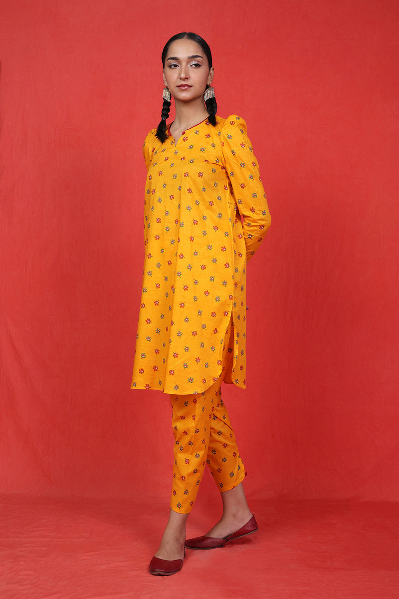 mangoyellow-jpg
