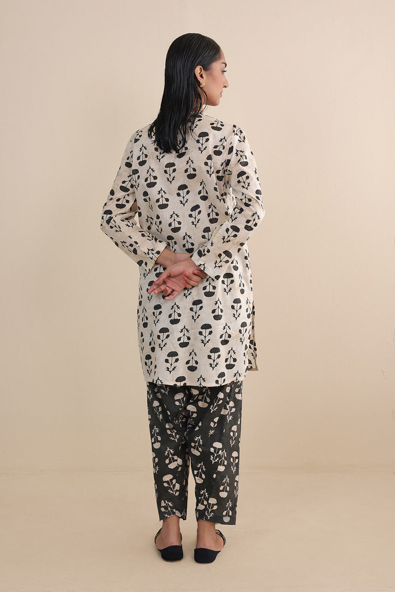 Jugni Monochromatic Set