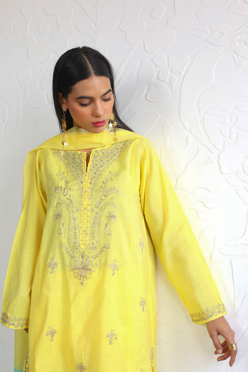 Shehzaadi Embroidered Suit