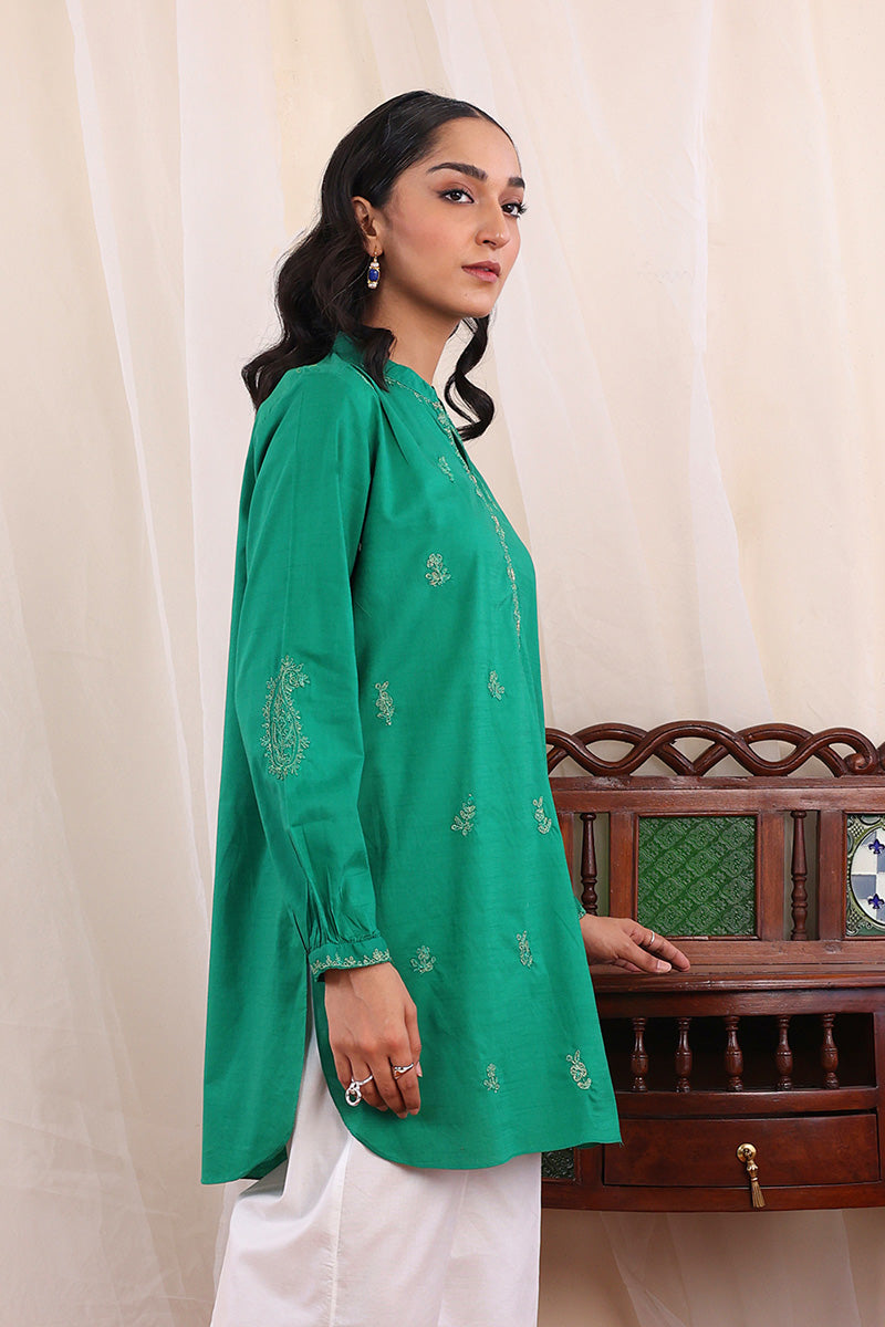 Desi Dreams Embroidered Kurti