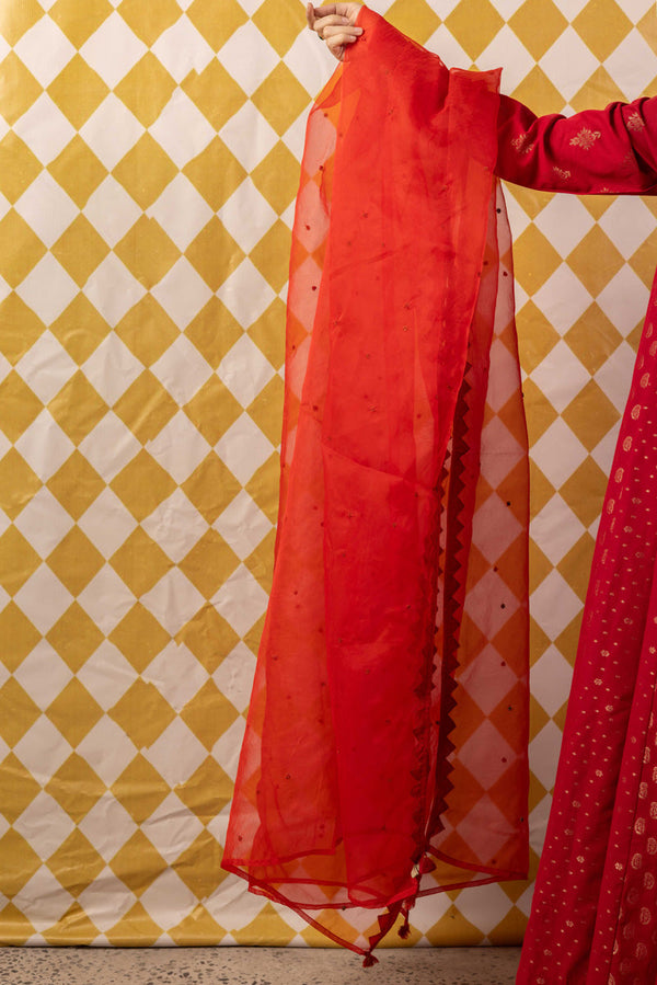 Threads of History Tasseled Dupatta