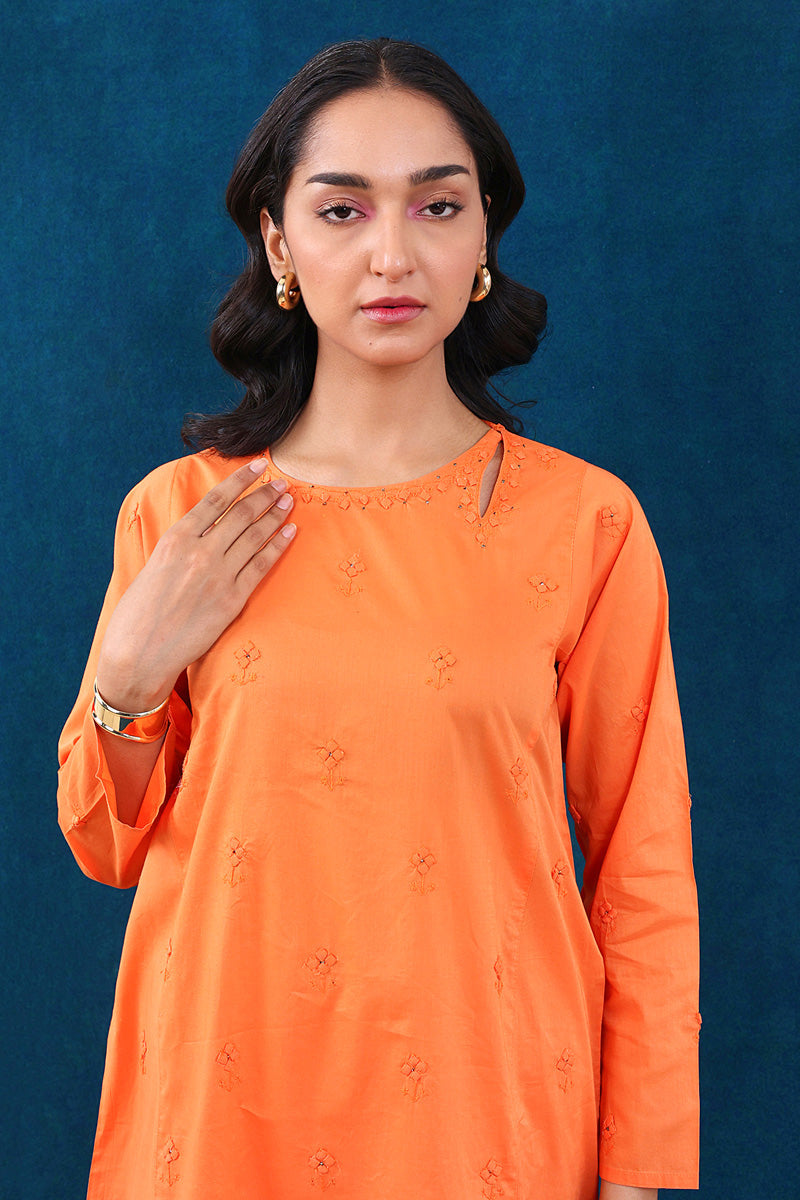 Rung e Bahaar Applique/Embroidered Set
