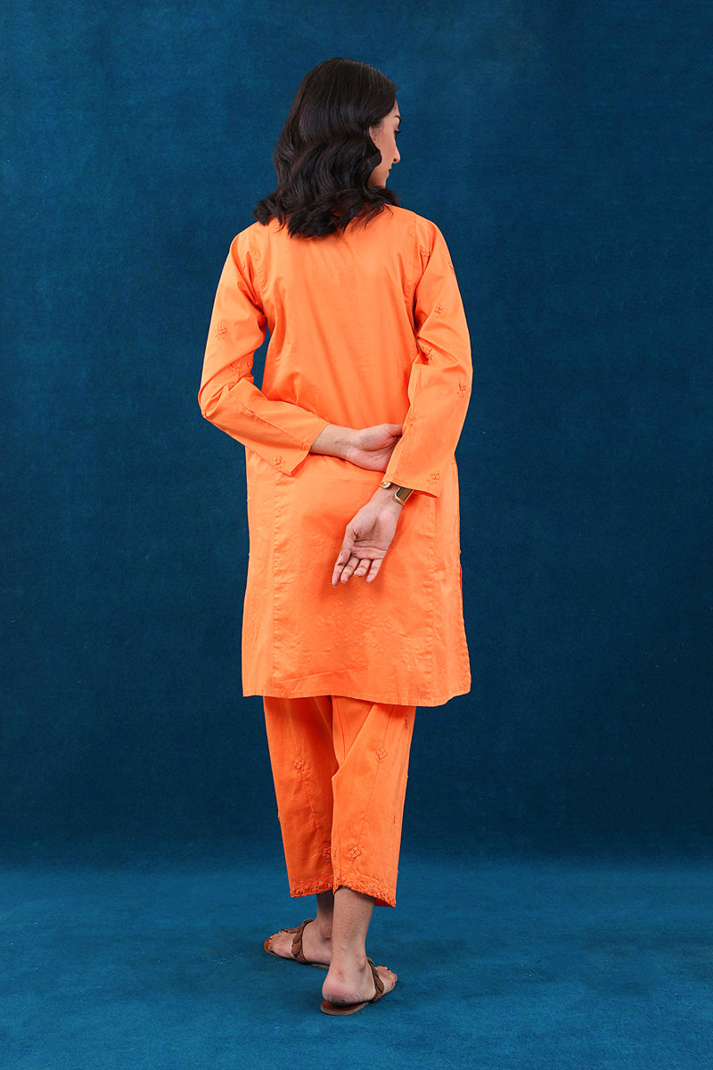 Rung e Bahaar Applique/Embroidered Set