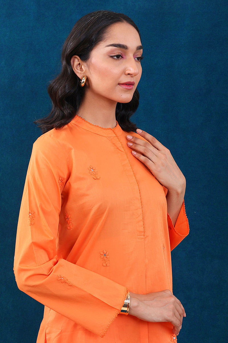 Rung e Bahaar Embroidred 2-Piece