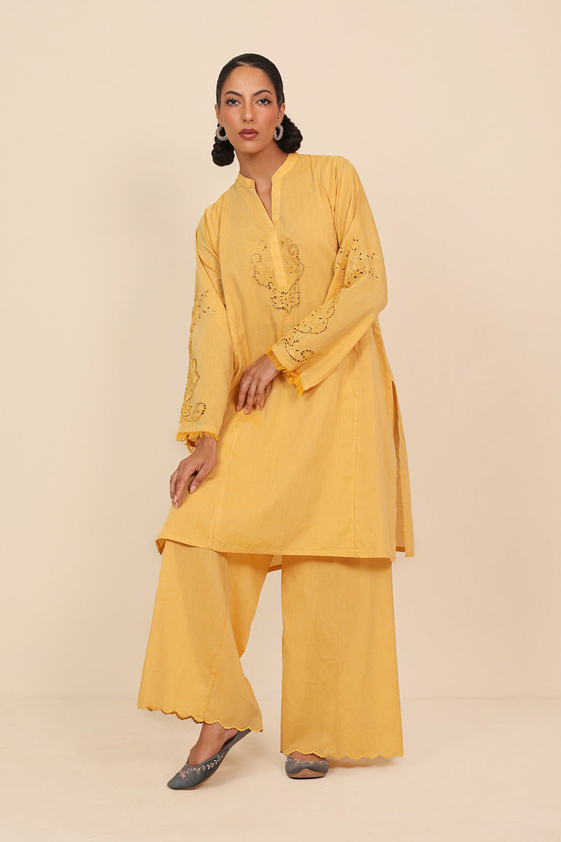 Floral Fringes Cutwork Suit