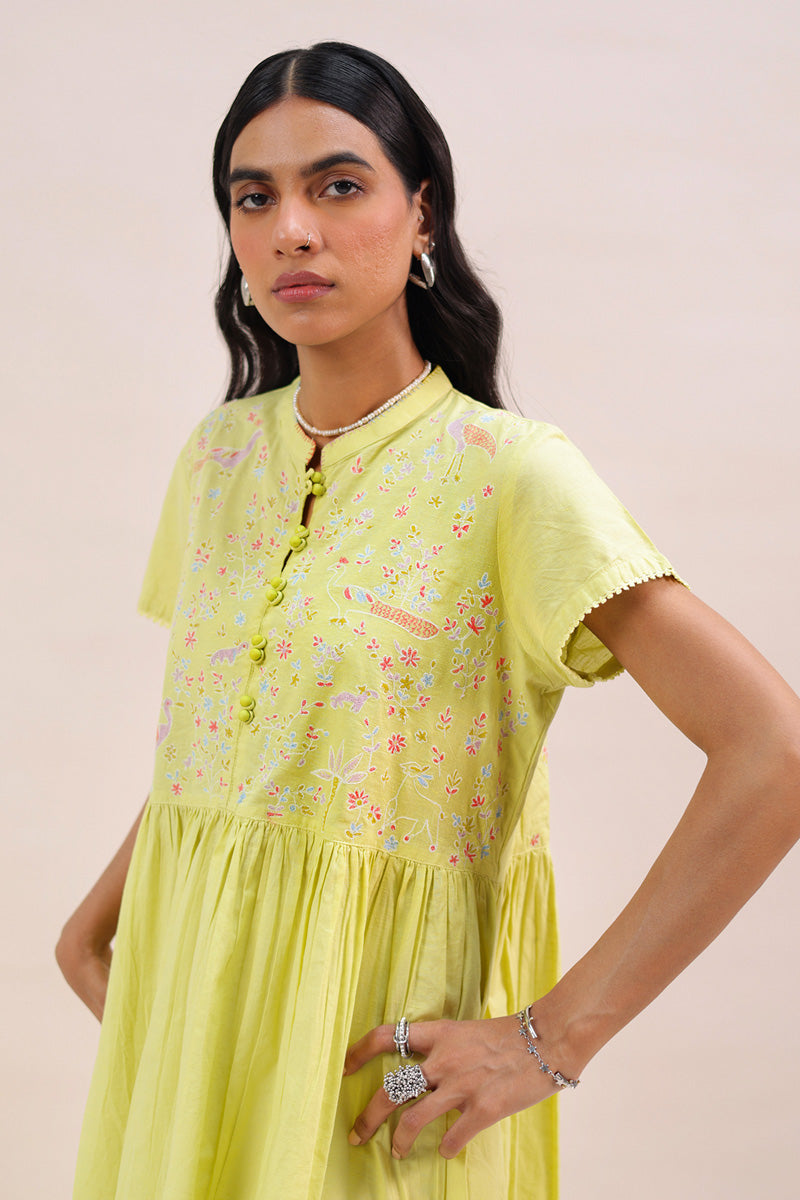 Embroidered Faras Dress