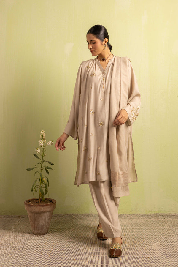 Zareen Zardar Suit