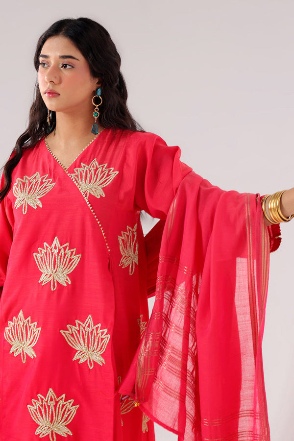 Zareen Kamal Dastan Suit