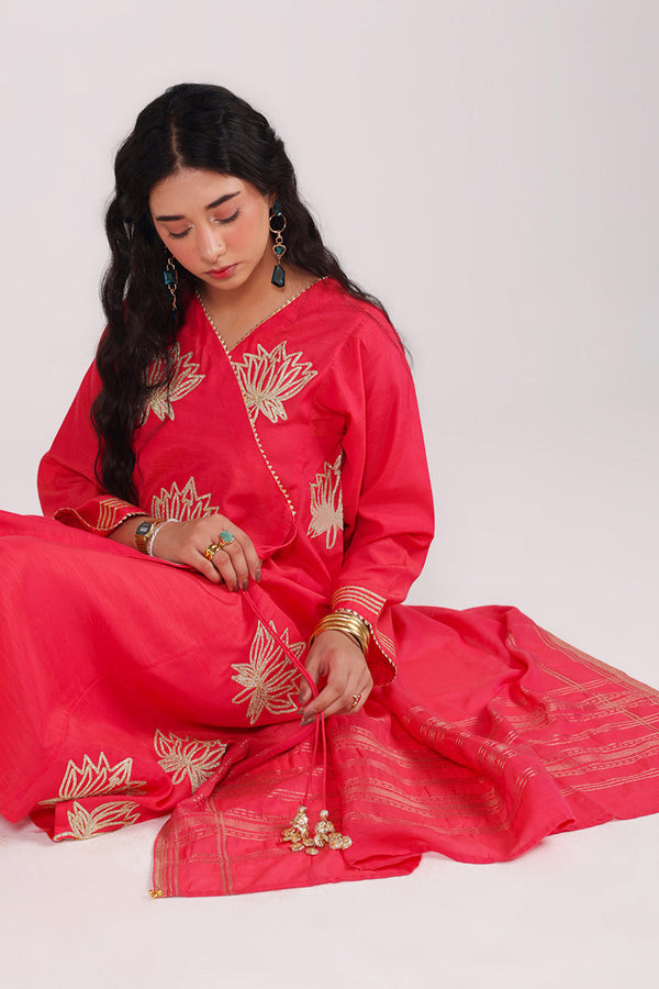 Zareen Kamal Dastan Suit