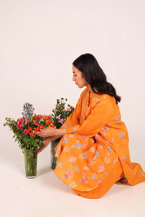 Block-Printed Ferozan Ensemble