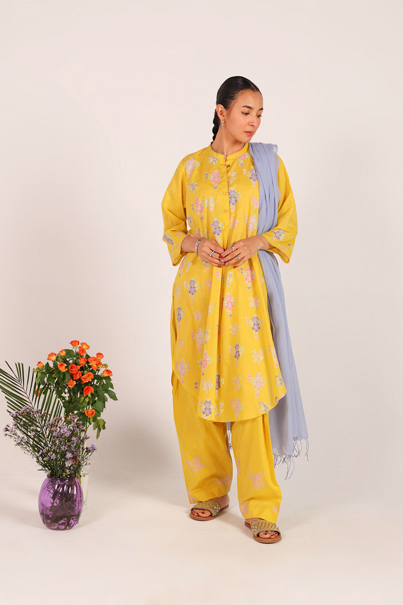 Block-Printed Ferozan Ensemble