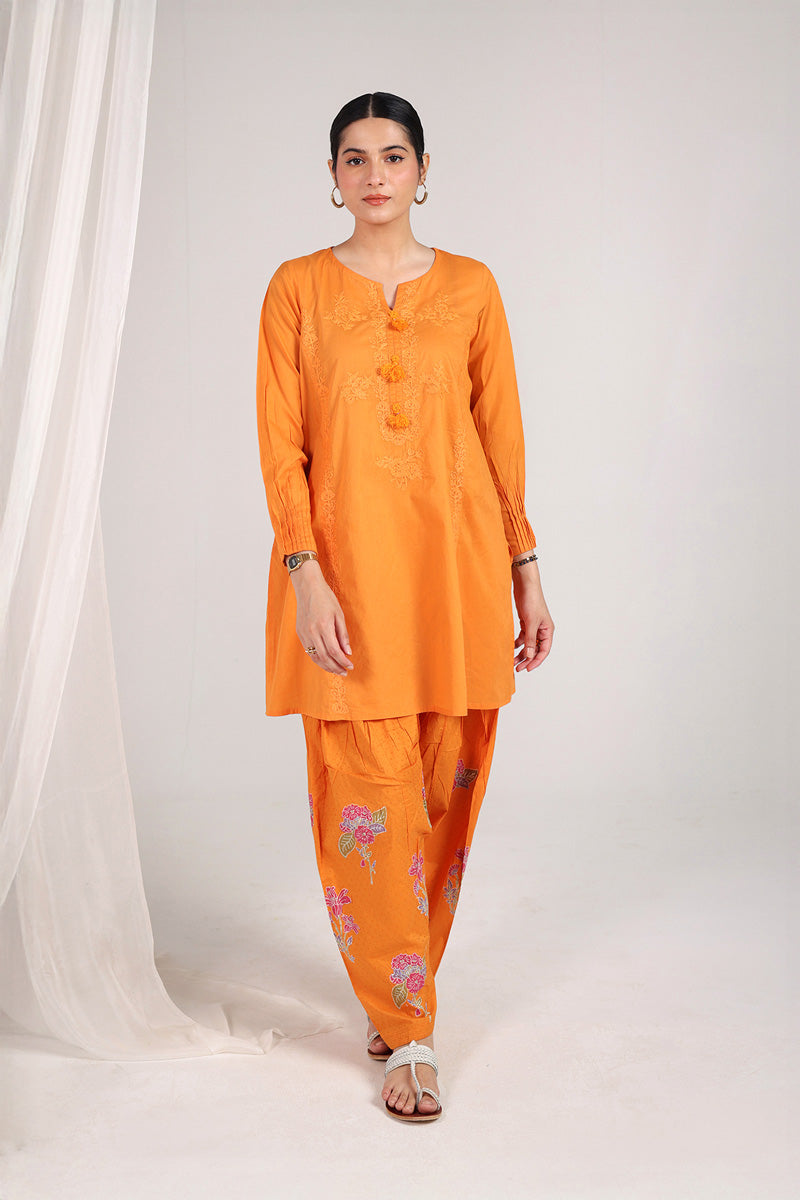 Block-Printed Ferozan Duo