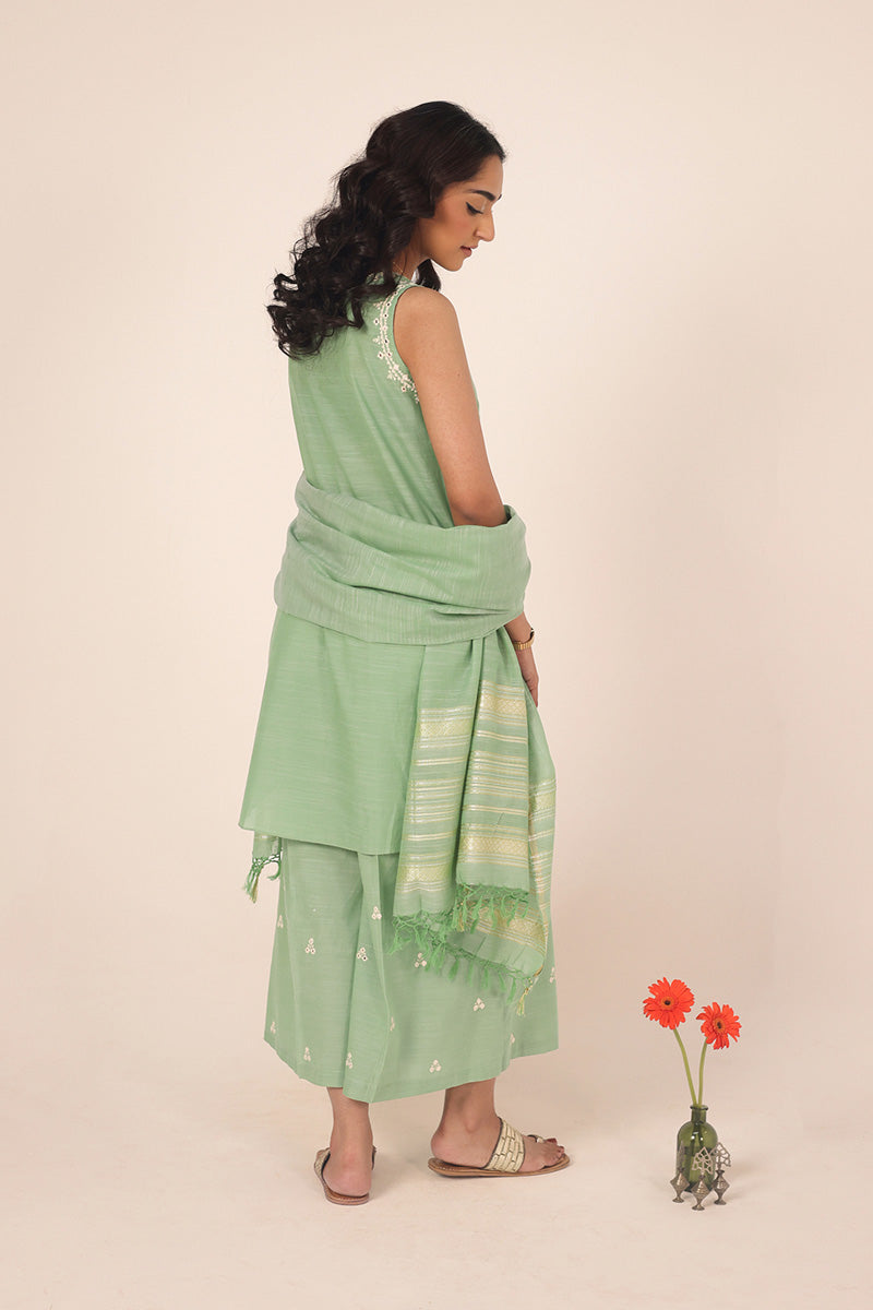 Aina-e-Mehmal Suit