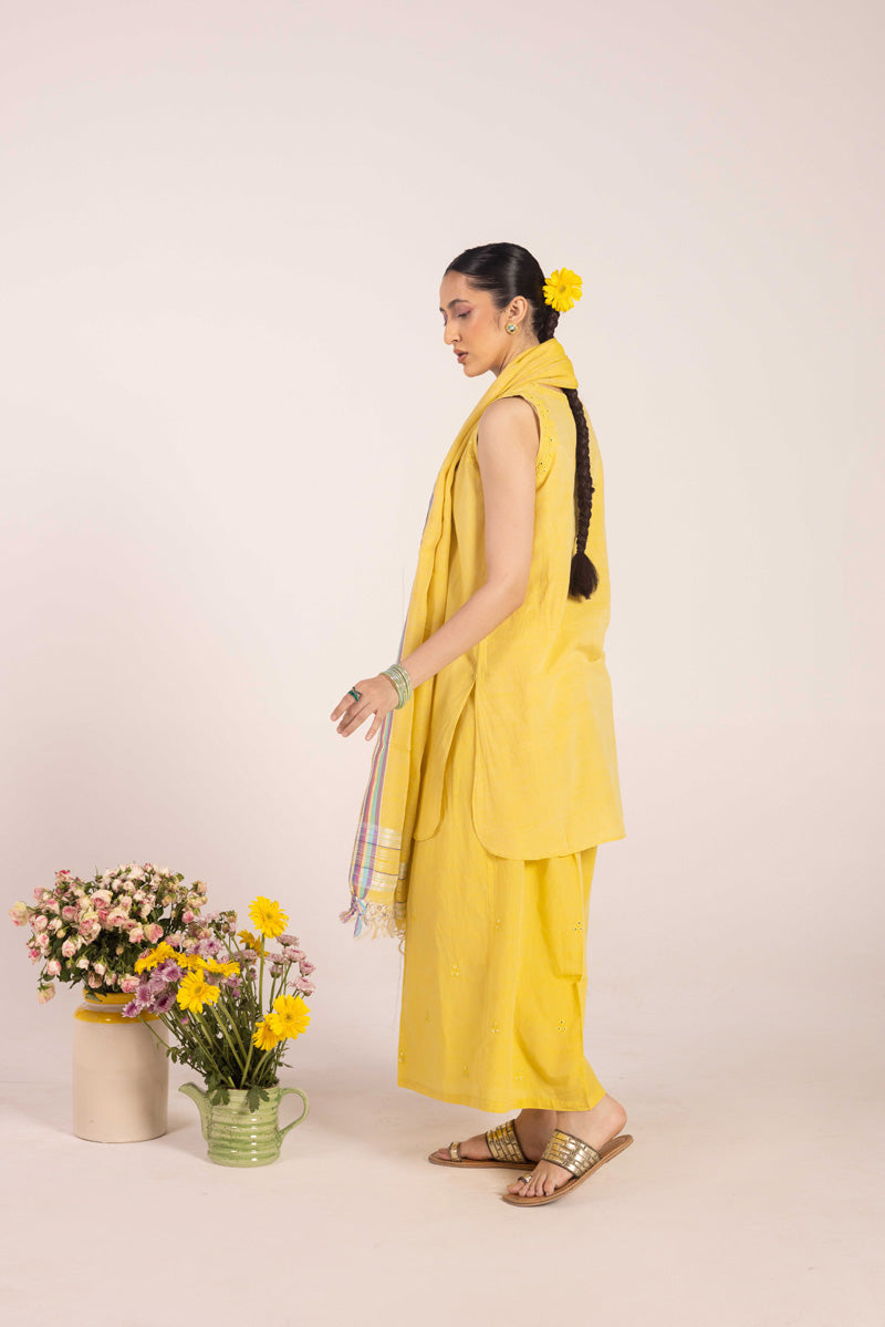 Aina-e-Mehmal Suit