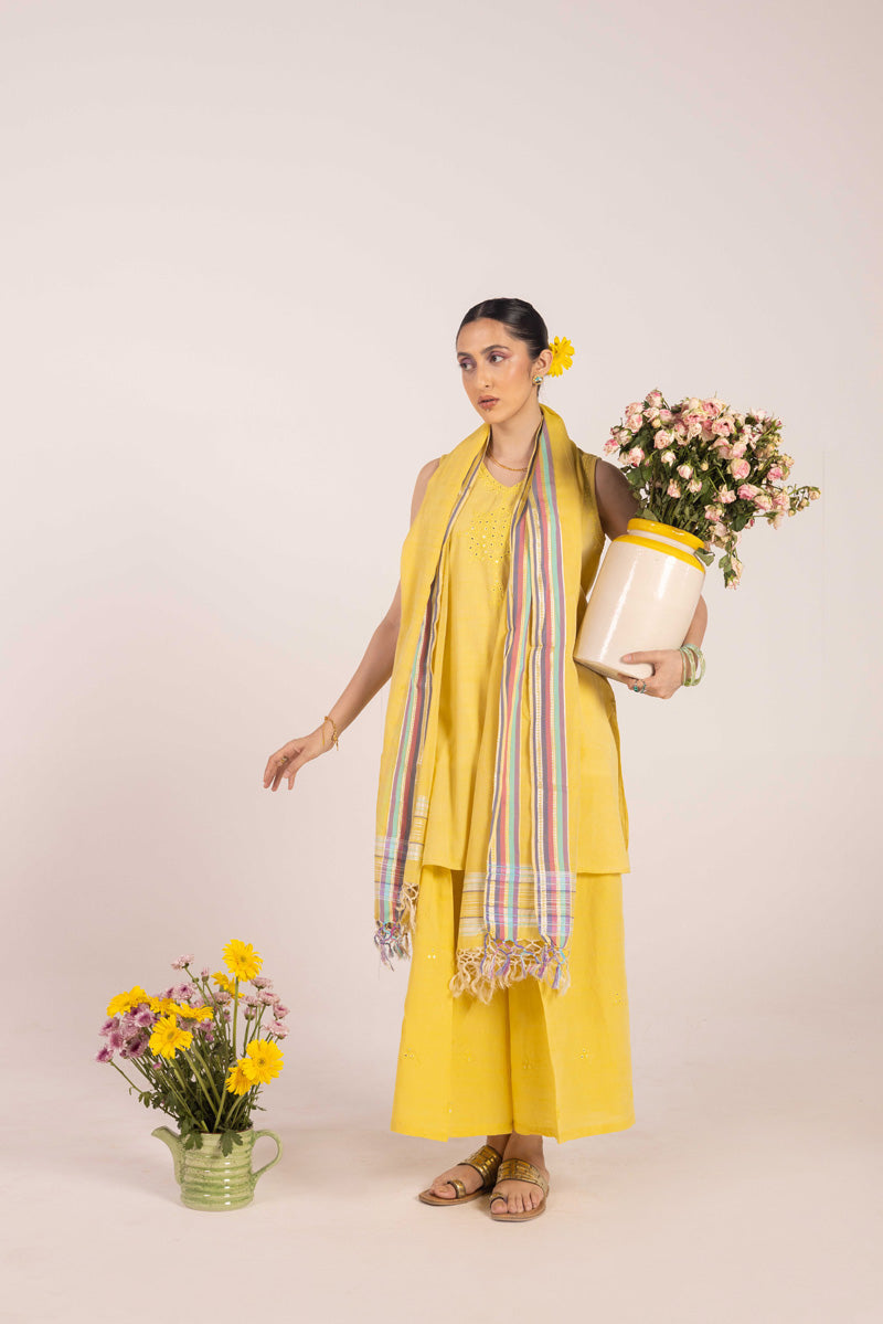 Aina-e-Mehmal Suit