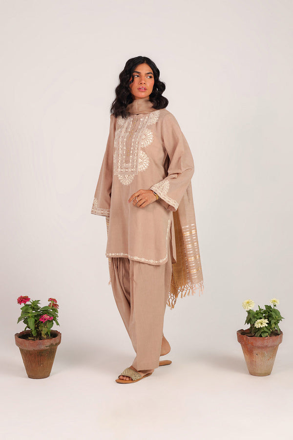 Aina Jhalak Suit