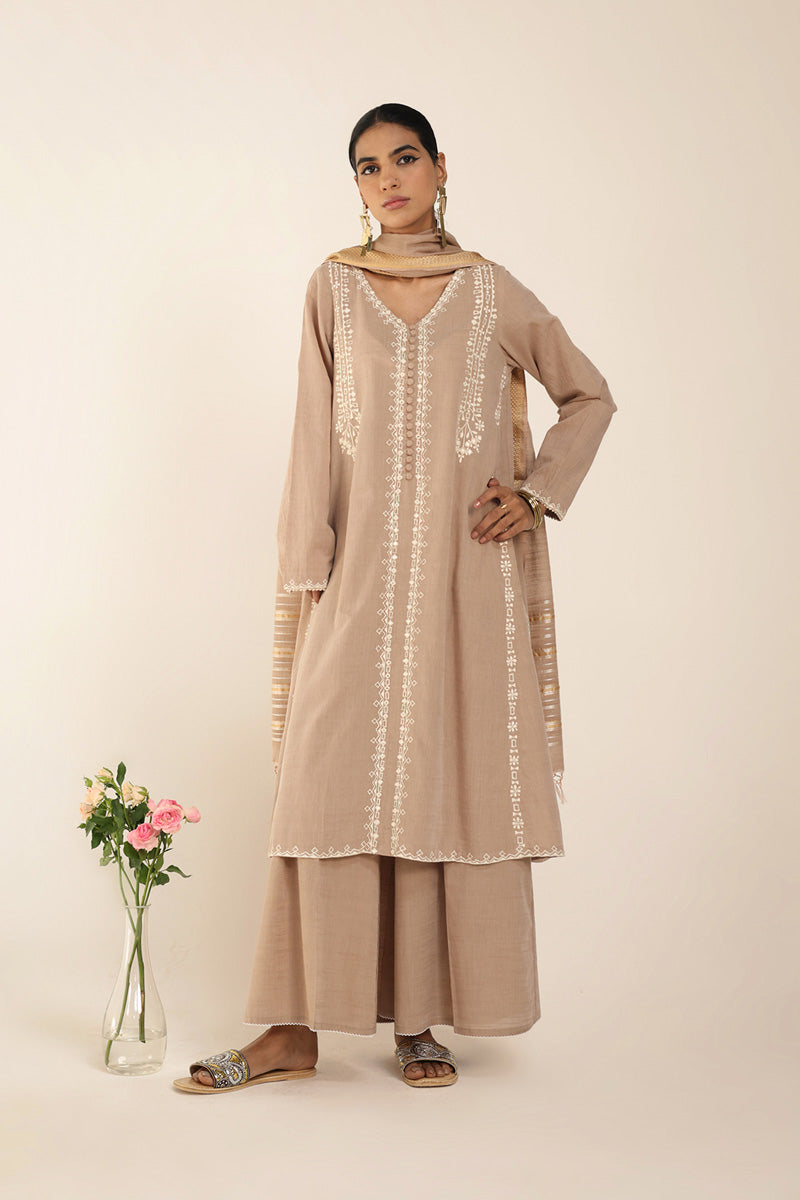 Aina Karigari Suit
