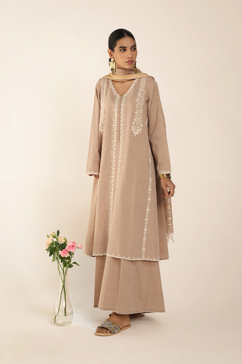 Aina Karigari Suit