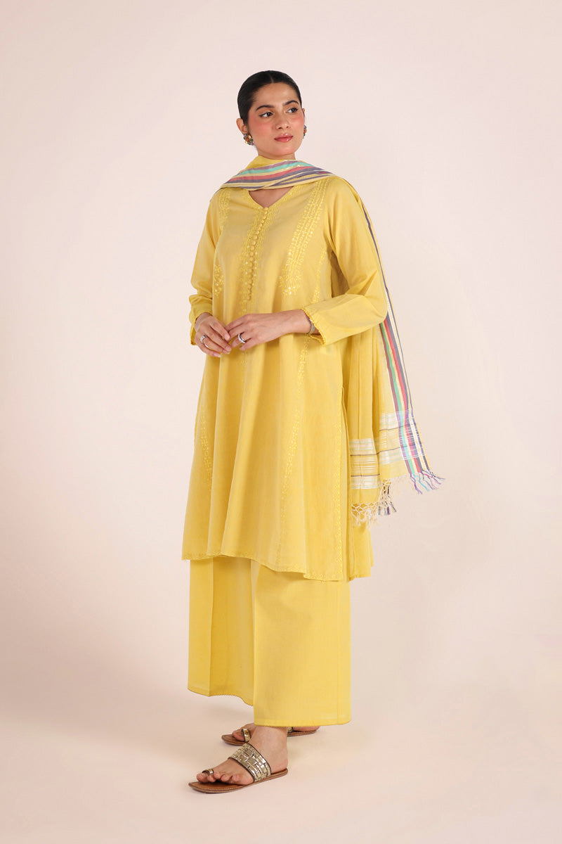 Aina Karigari Suit