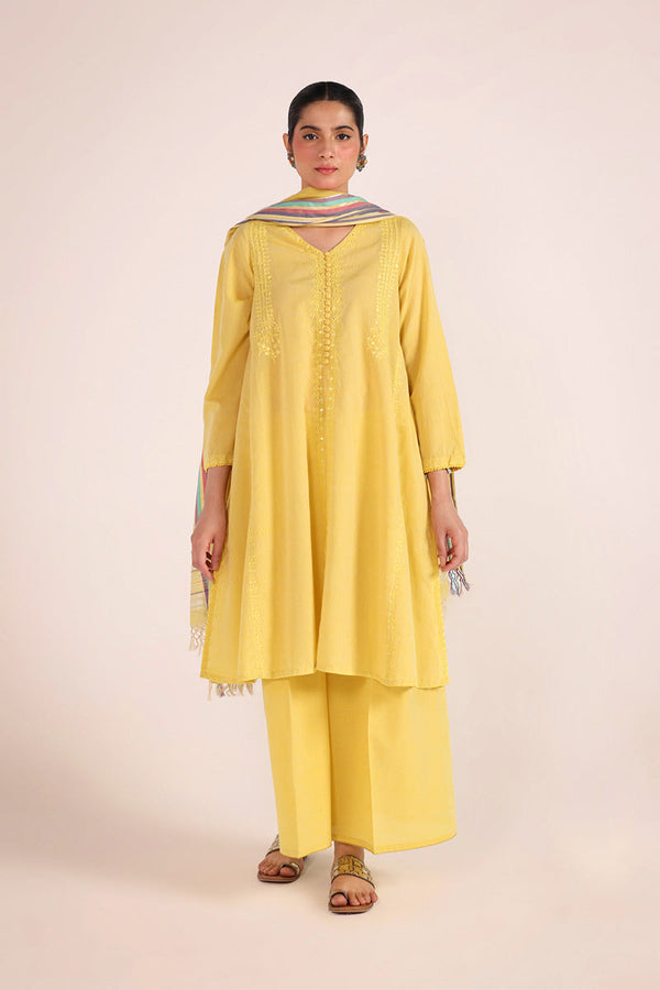 Aina Karigari Suit