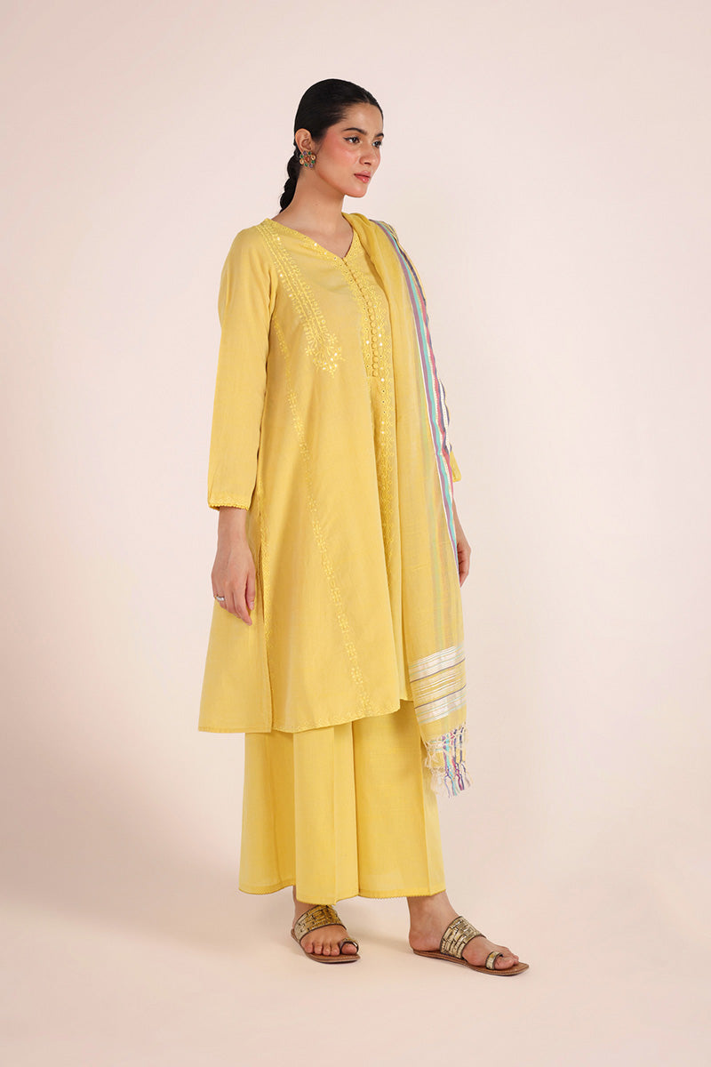 Aina Karigari Suit