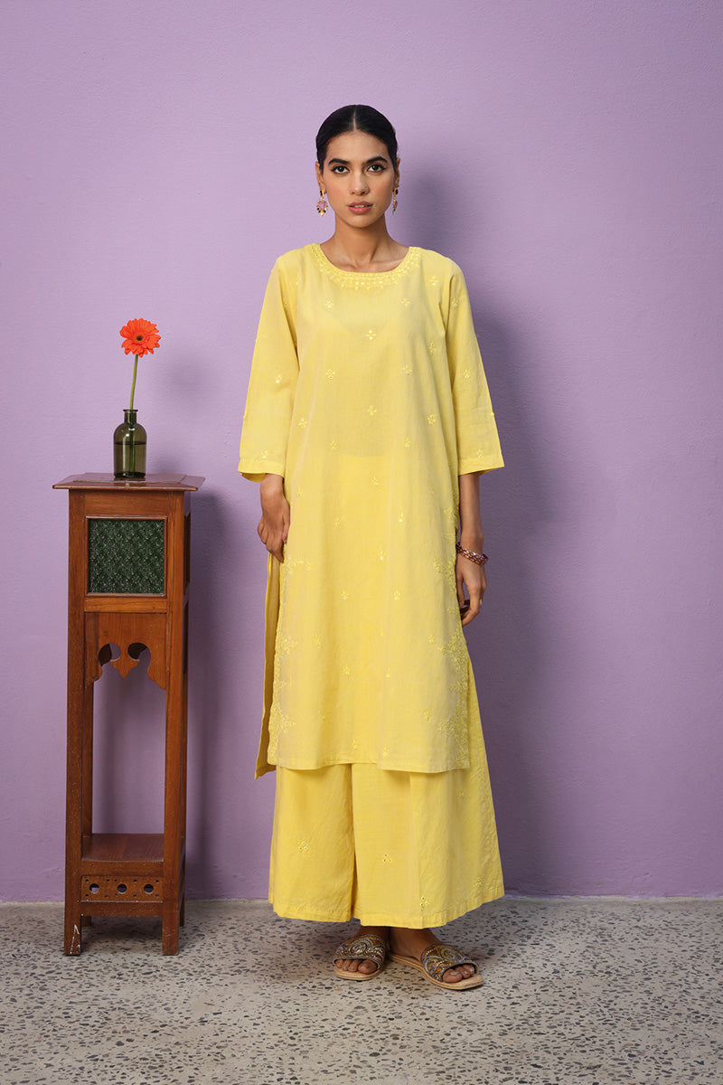 Aina Resham Kurta