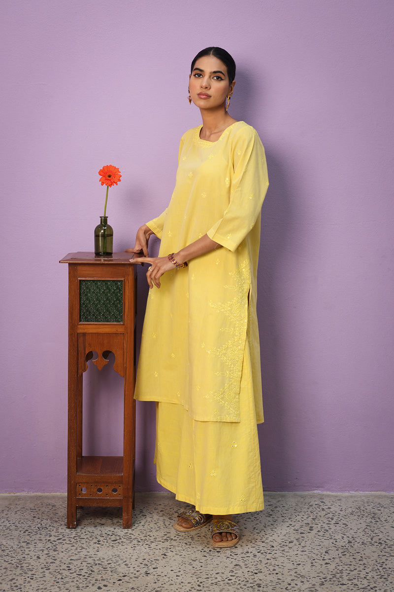 Aina Resham Kurta