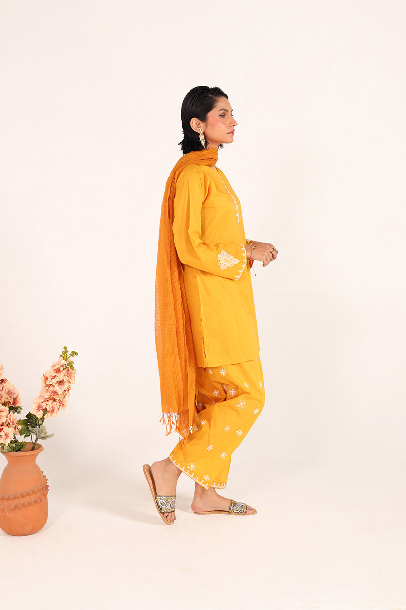 Chakoor Heritage Ensemble