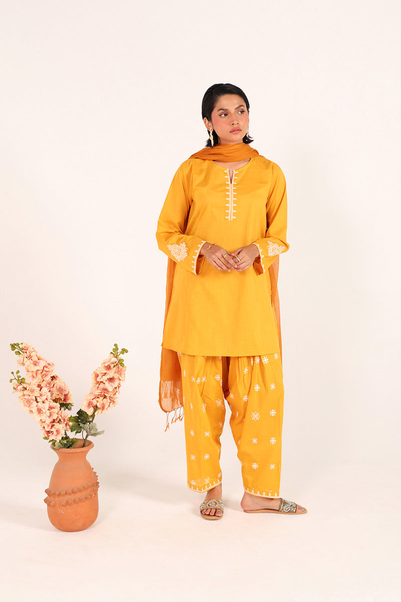 Chakoor Heritage Ensemble