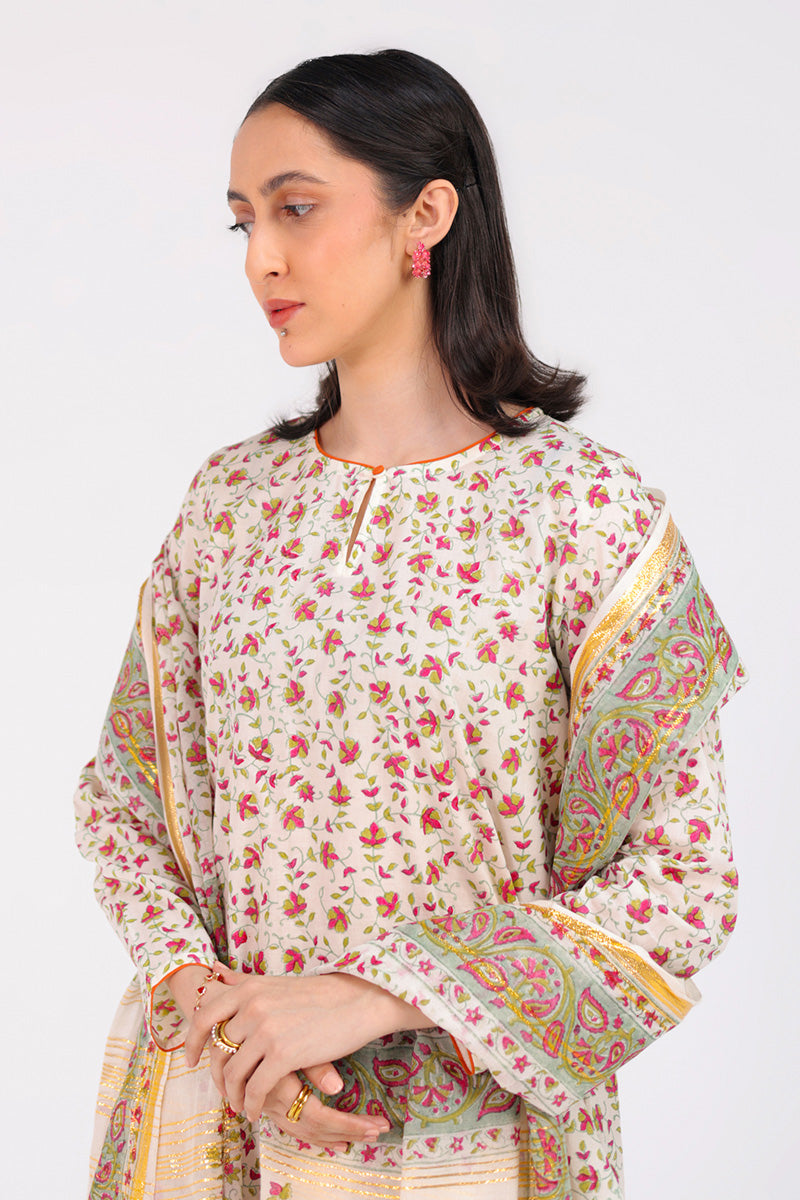 Anarkali Opulent 3 Piece Suit