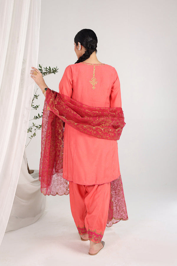Hues of Red Zareen 3 Piece