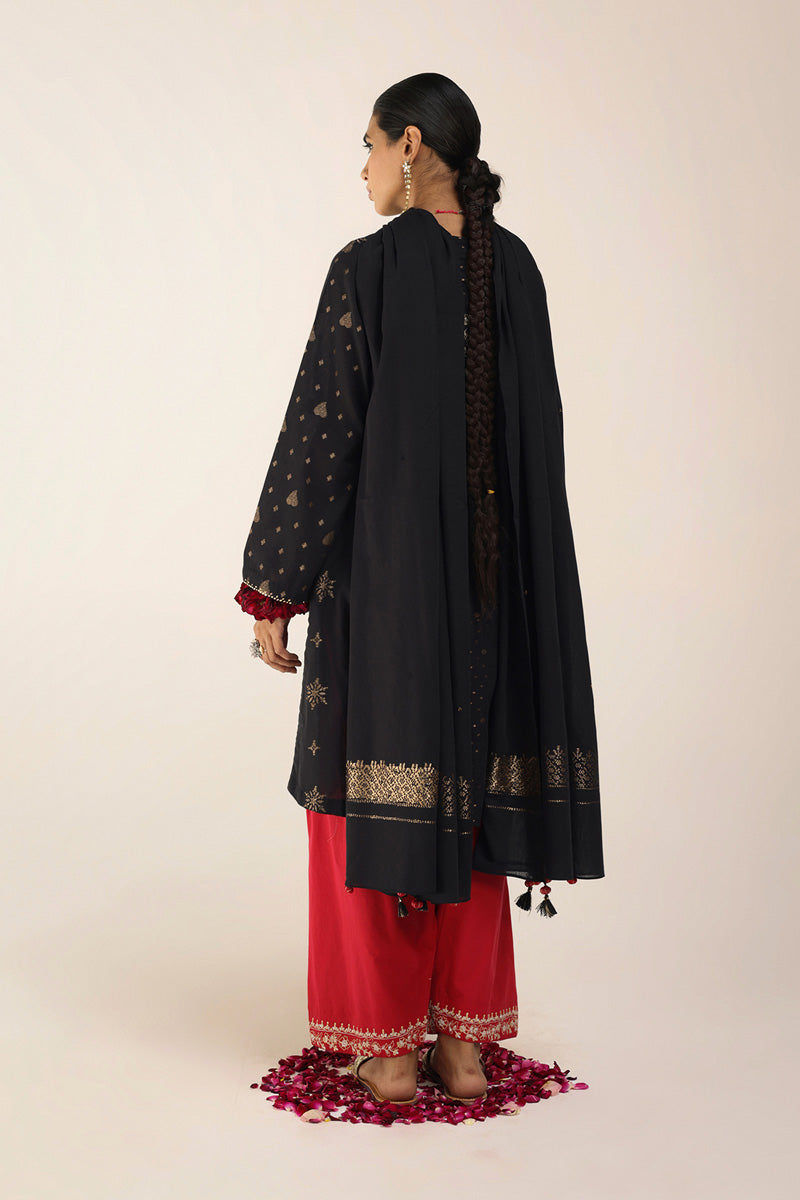 Raat ki Rani Raqs Suit