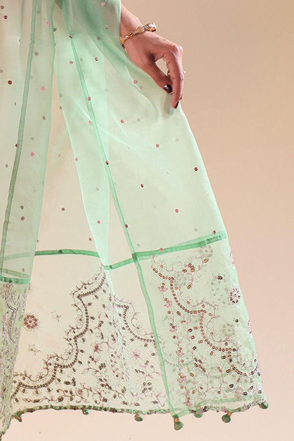 Sequin Dust Dupatta