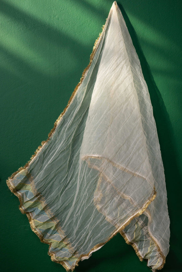 Golden Gleam Mahrani Dupatta