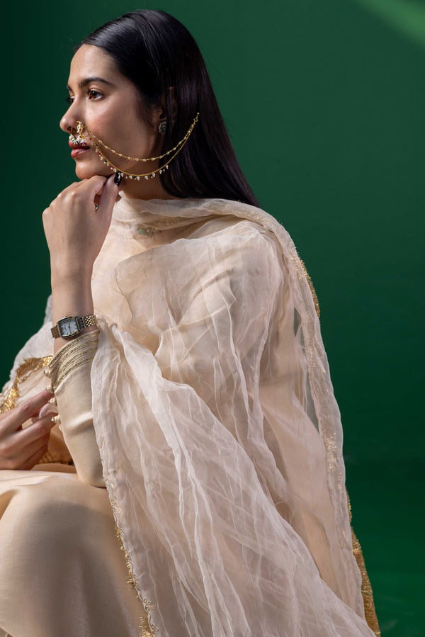 Golden Gleam Mahrani Dupatta