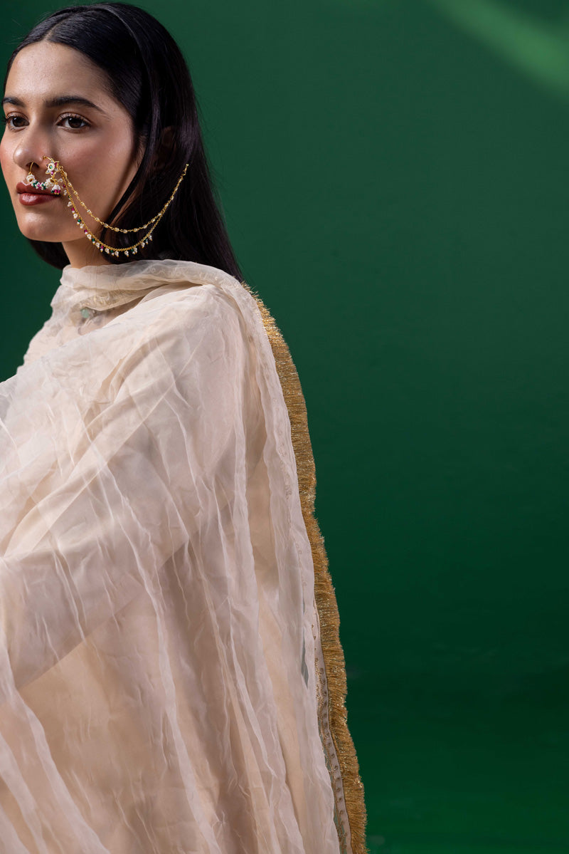 Golden Gleam Mahrani Dupatta