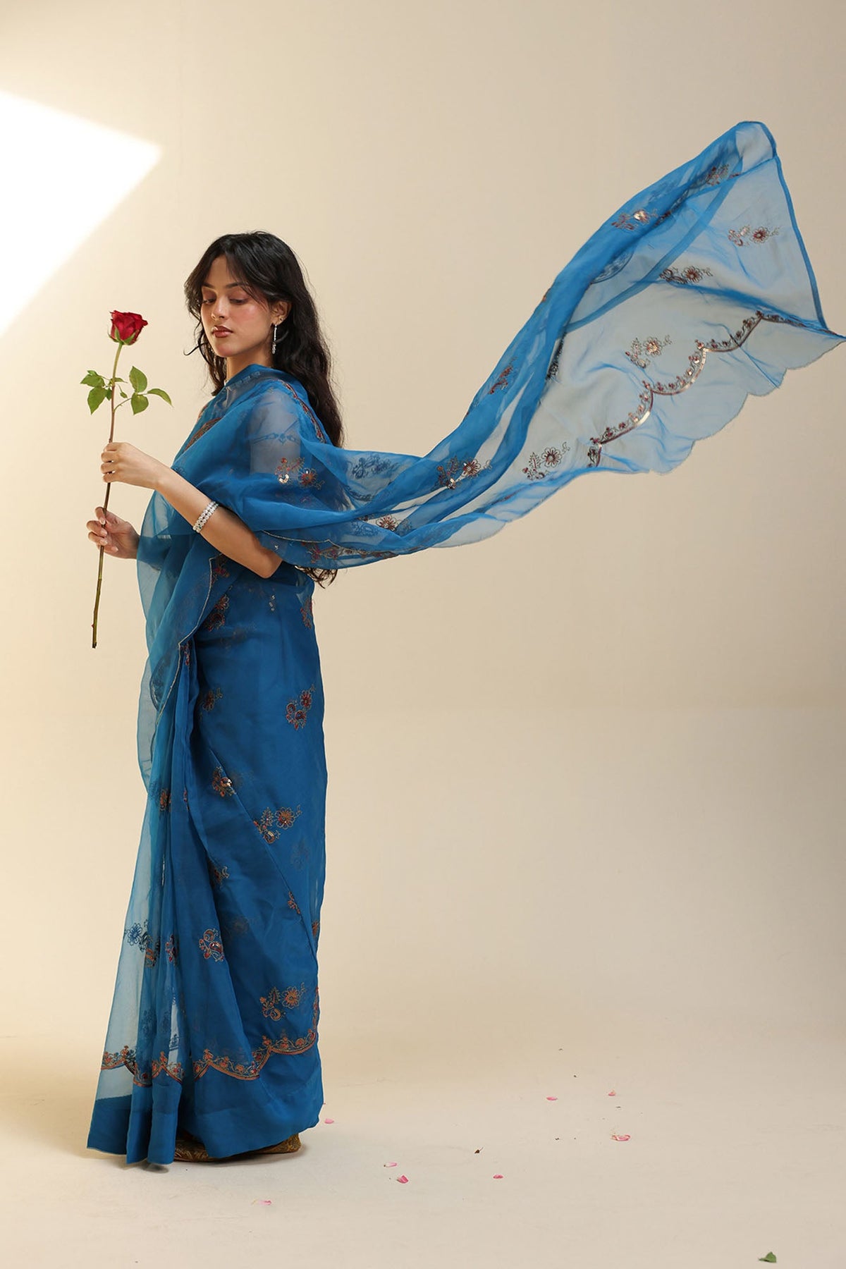 Khaas Sequin Saree